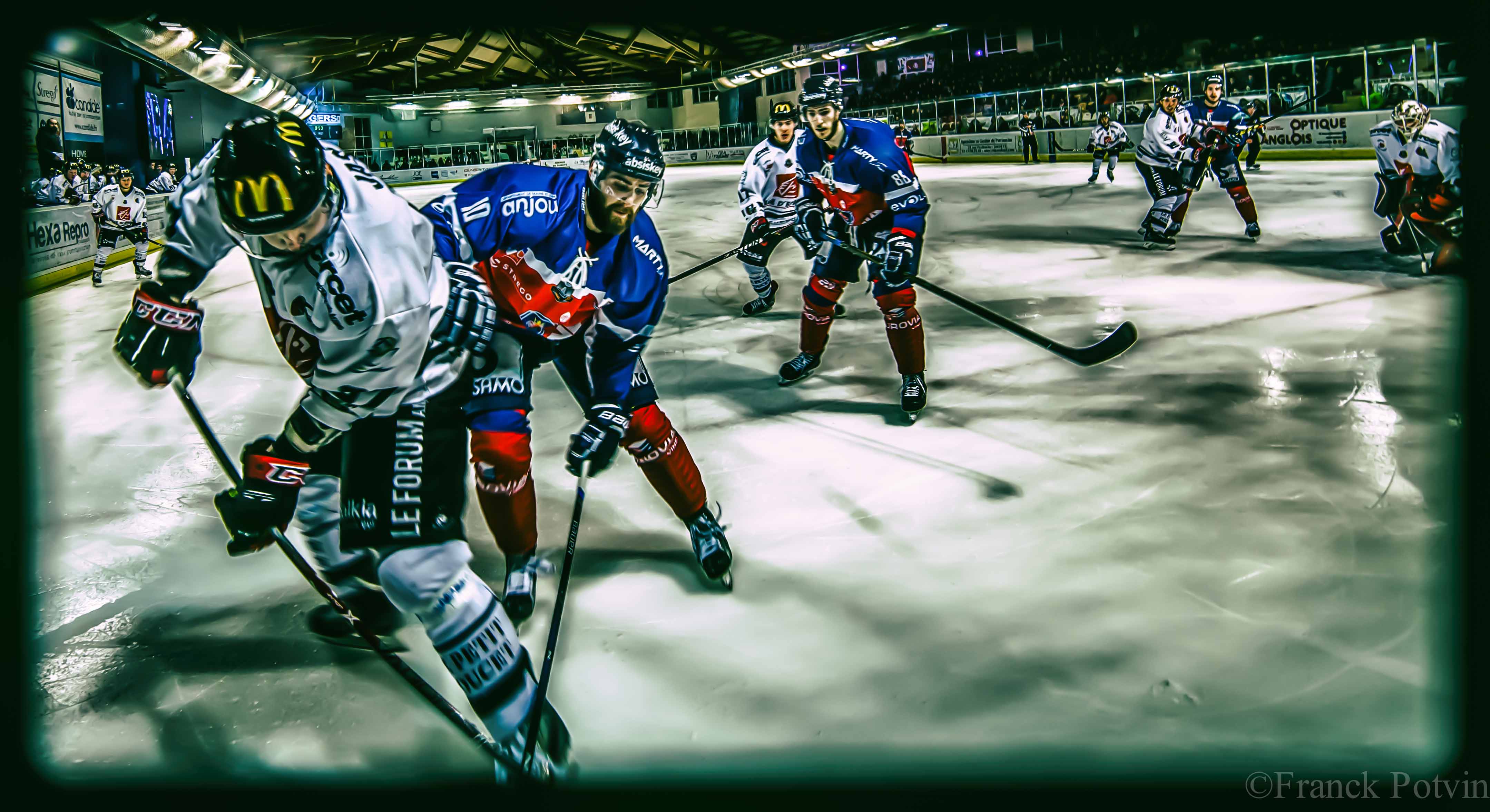 Les Ducs d’Angers chutent face aux Gothiques