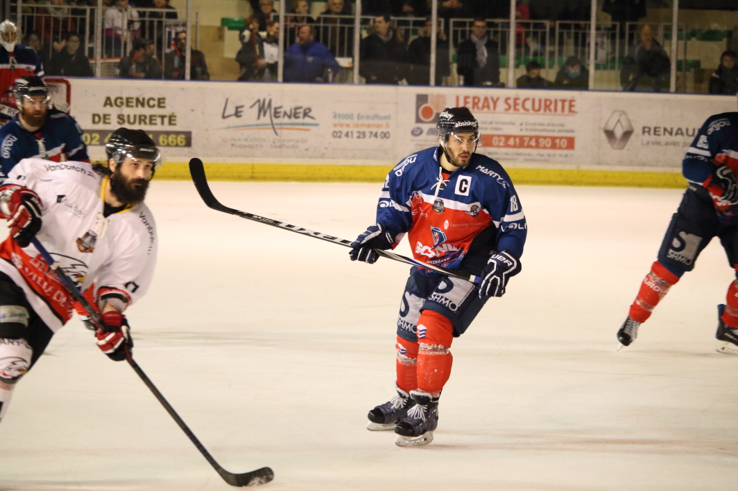 39ème journée : Direction play-offs pour les Ducs d’Angers // 03-02/17