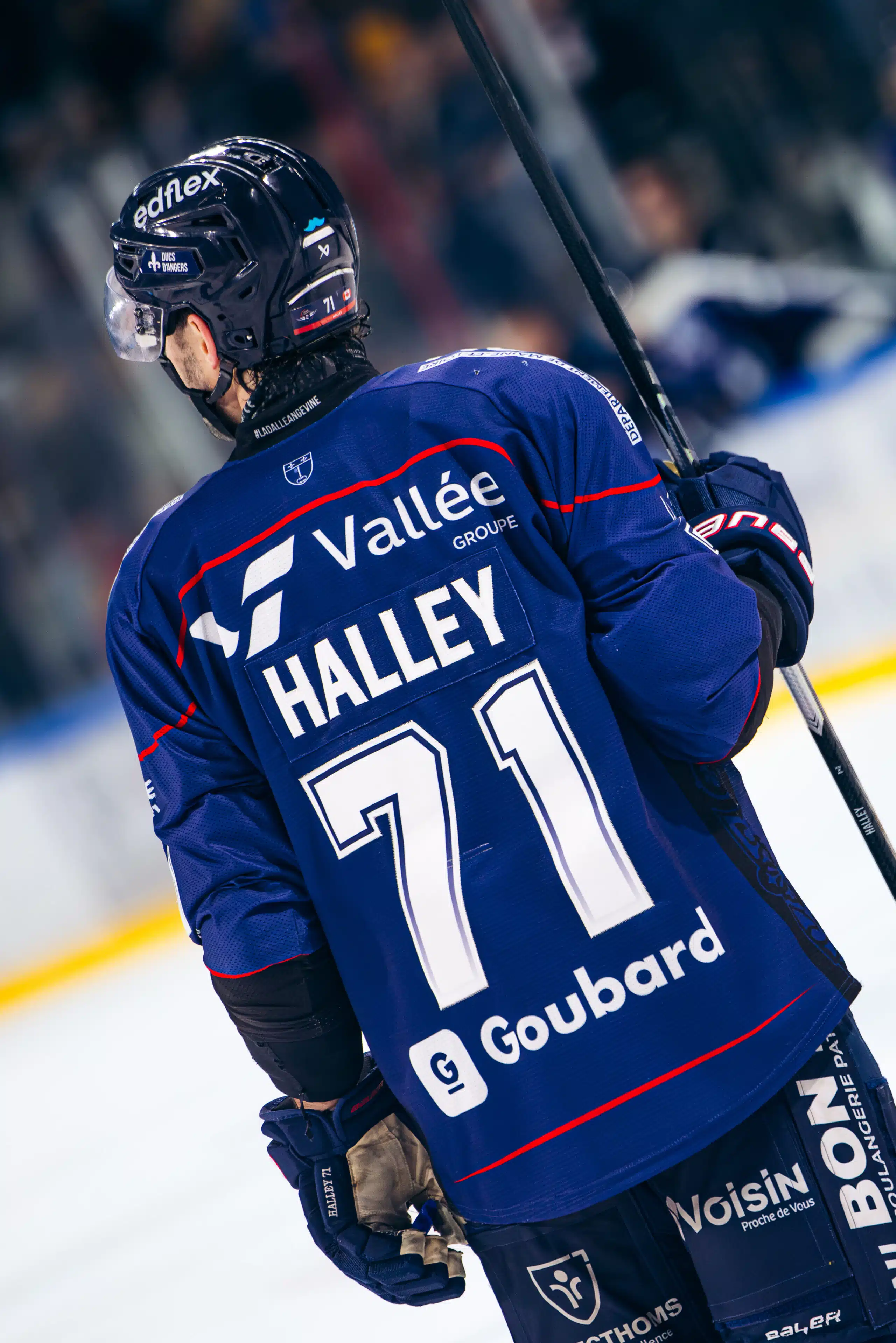 MAILLOT PORTÉ - #71 PHILIPPE HALLEY (CONTINENTAL CUP) – Image 2