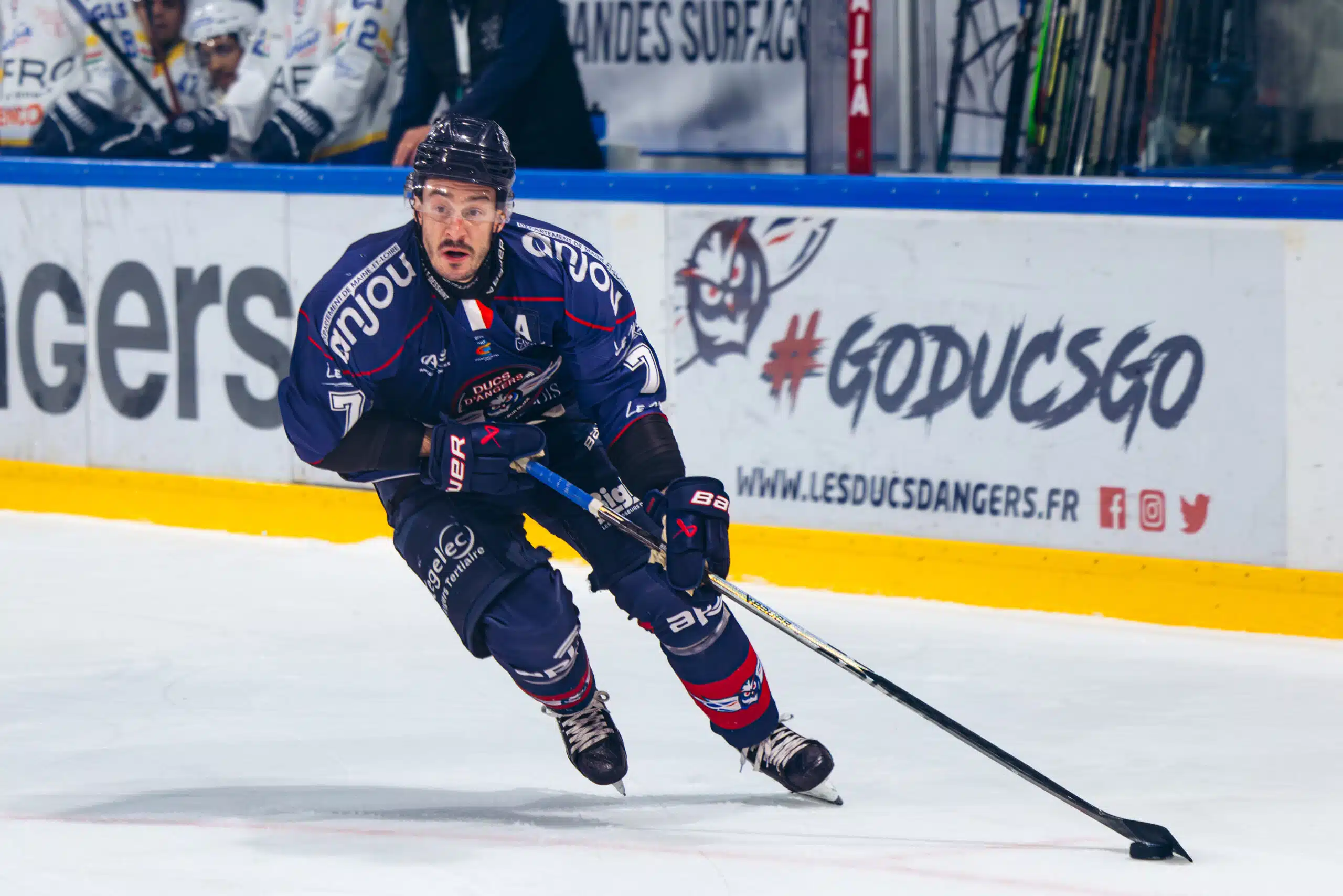 MAILLOT PORTÉ - #71 PHILIPPE HALLEY (CONTINENTAL CUP)