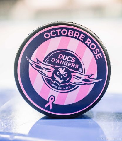 PALET - OCTOBRE ROSE 25/26