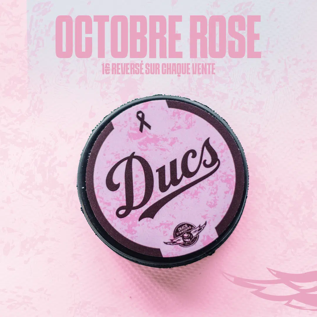 PALET - OCTOBRE ROSE