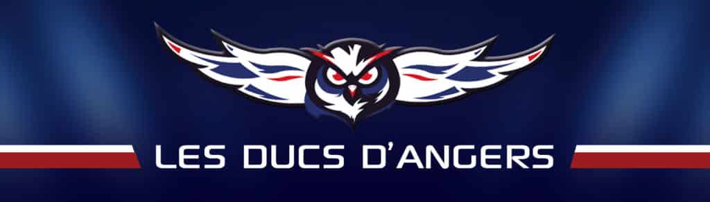 Histoire des ducs d'angers - Les Ducs d'Angers