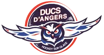 Les Ducs d'Angers