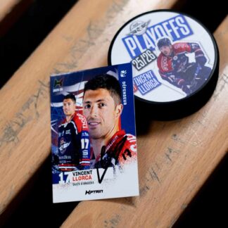 COMBO CARTE KPTAIN + PALET - VINCENT LLORCA #17